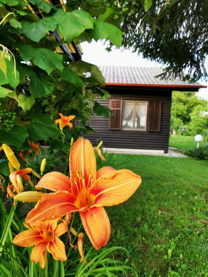 Merikotka - A Cozy Wooden Cottage, Slovenia Braslovce ภายนอก รูปภาพ