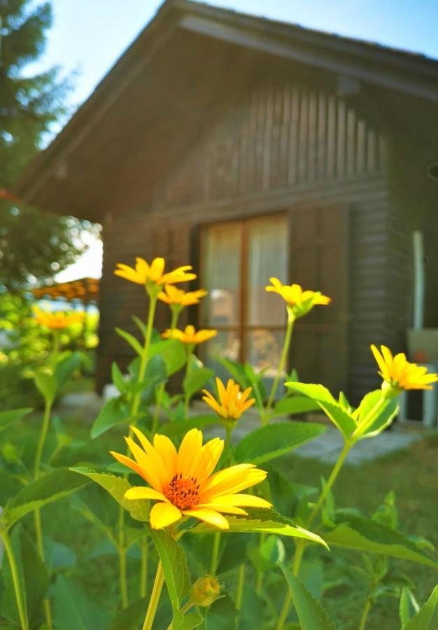 Merikotka - A Cozy Wooden Cottage, Slovenia Braslovce ภายนอก รูปภาพ