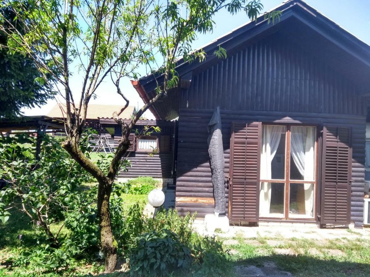 Merikotka - A Cozy Wooden Cottage, Slovenia Braslovce ภายนอก รูปภาพ