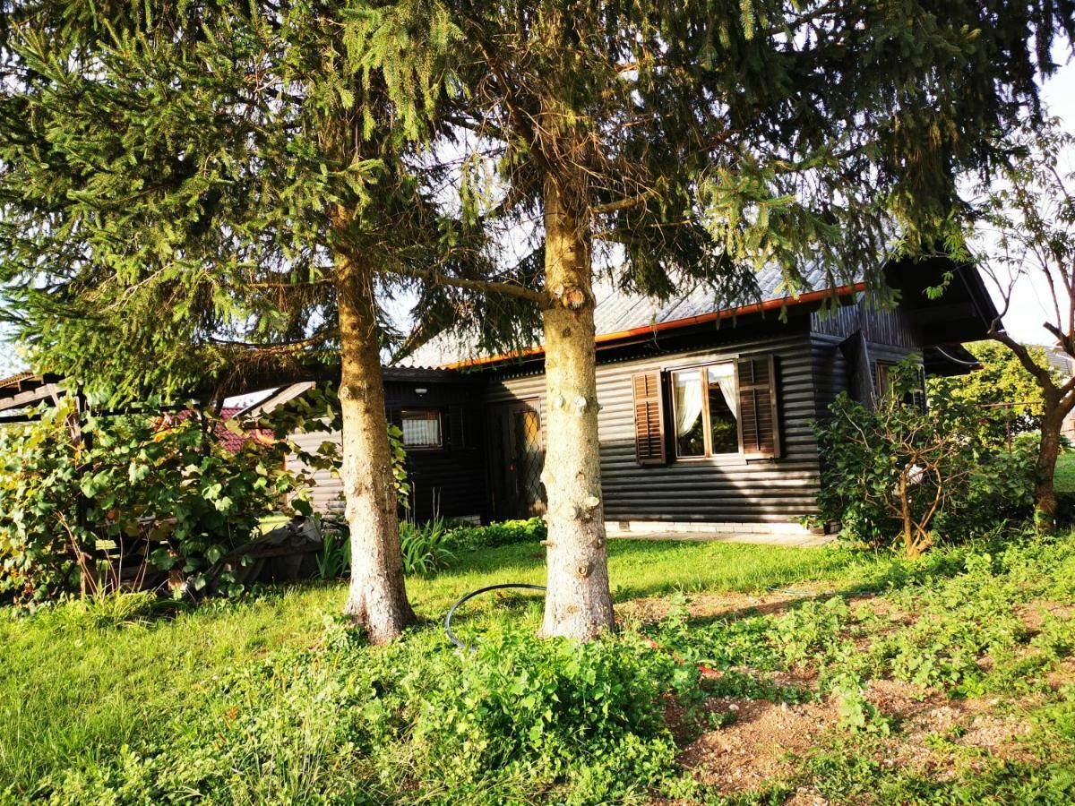 Merikotka - A Cozy Wooden Cottage, Slovenia Braslovce ภายนอก รูปภาพ